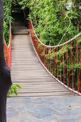 bridge in forest