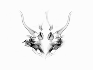 The head of fire demon