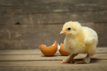 chicken on wooden boards