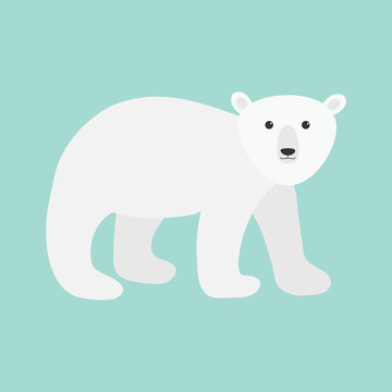 Arctic polar bear cub. Cute cartoon baby character. Flat design. Blue background. Isolated.