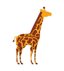 giraffe african isolated icon