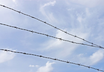 barbed wire fence against a blue cky
