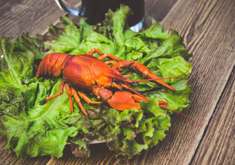 Boiled crayfish and beer