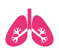 lungs organ human isolated icon
