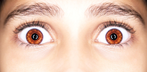 Obraz premium Makro Bliska portret młodych dziewcząt brązowe oczy.