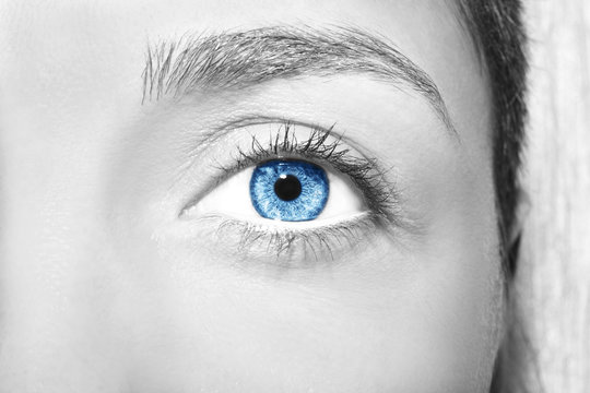 Beautiful insightful look blue woman's eyes.