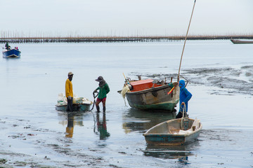 The fishermen returned to shore from fishing in the morning.