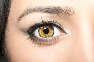 Obraz premium Beautiful insightful look brown woman's eye