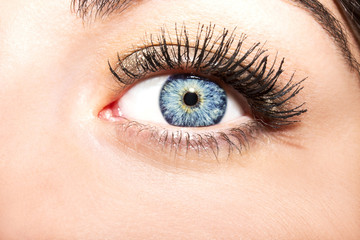 Fototapeta na wymiar Woman blue eye with extremely long eyelashes
