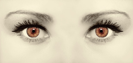 Beautiful insightful look brown vintage  woman's eyes