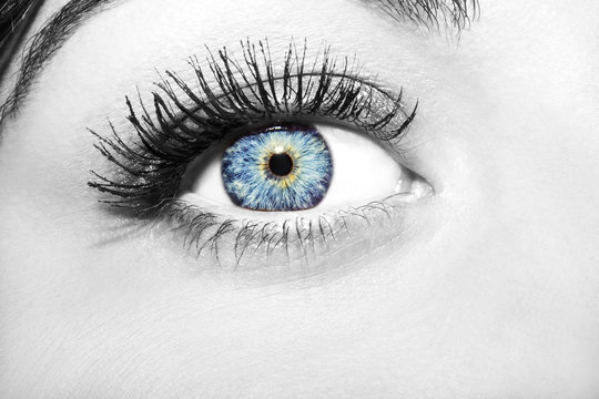 Woman blue eye with extremely long eyelashes