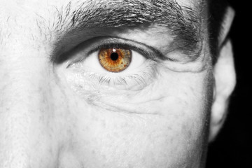 Obraz premium Image of man's brown eye close up.