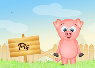 Obraz na płótnie Canvas pig in the farm