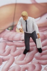 miniatura di professore che spiega l'apparato gastrointestinale