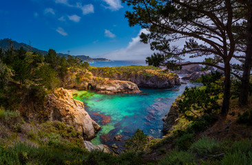Point Lobos State Park California