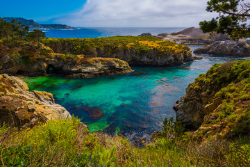Fototapeta na wymiar China Beach Point Lobos California State Reserve