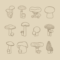 Vector hand drawing mushrooms for recipes and menus line icons