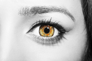 Beautiful insightful look brown woman's eyes