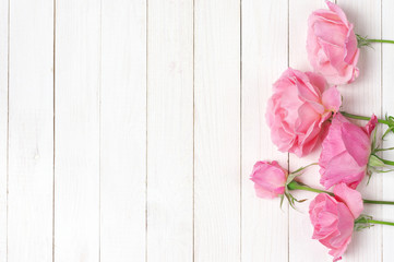 Pink roses on wood