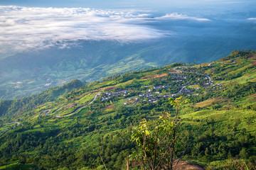 Obraz premium Travel in Thailand on a hilltop, Phu Tub Berk.
