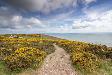 les falaises de Howth