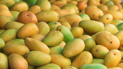 Background of fresh ripe mangoes