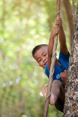Fototapeta premium Cute little boy climbing tree