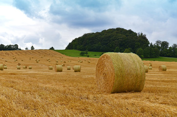Strohballen