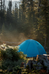 Tourist tent in wild forest. Morning in taiga
