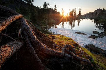 Sunset on the lake. Wildlife Siberia. Light illuminates the root