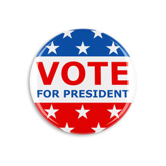 3d usa vote button