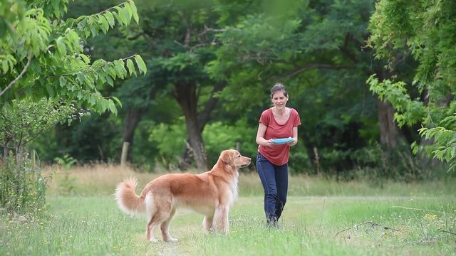 Woman playing with throwing frisbee to dog