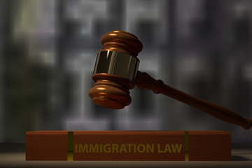 3D rendering of a judge hammer and immigration law book on a tab