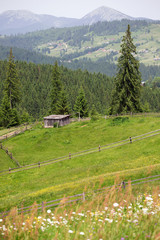 wooden houses on a grass hills