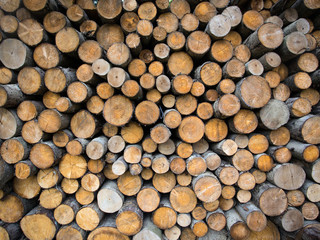 wooden log background