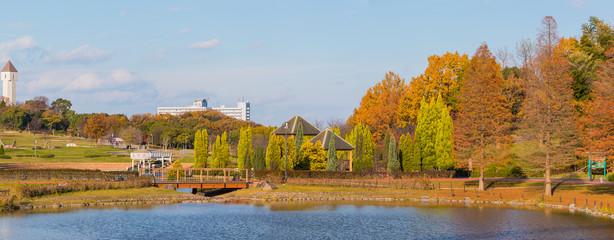 Fototapeta na wymiar Beautiful Japanese Garden in autumn daylight.