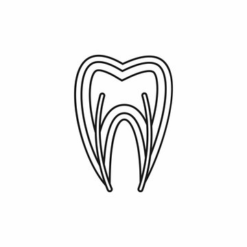 Tooth cross section icon in outline style isolated vector illustration