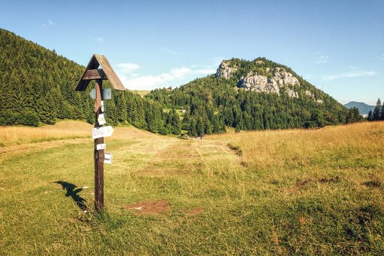 Meadows near Malino Brdo in Great Fatra (Velka Fatra) National Park, Slovakia