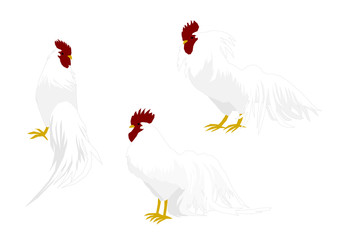 にわとりのイラストセット