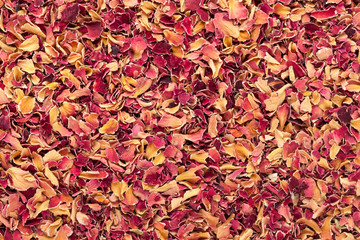 Organic dry Damask rose petals (Rosa damascena) in tea cut size. Macro close up background texture. Top view.