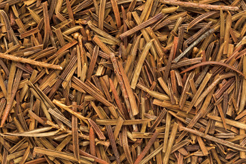 Organic dry Yew (Taxus baccata) leaves. Macro close up background texture. Top view.