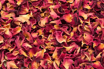 Naklejka premium Organic dry Rose Damask petals (Rosa damascena). Macro close up background texture. Top view.