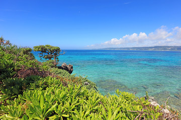 沖縄の美しい海とさわやかな空