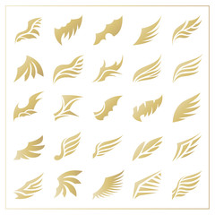Fototapeta na wymiar Wings. Vector Set of wing design elements. Vector illustration. Design for logo, tattoo and luxury brand identity