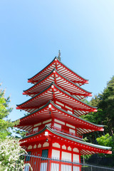Fototapeta premium Chureito Pagoda in Summer
