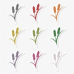 Set of simple colorful wheat ears