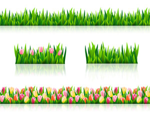 Set of borders with fresh green grass