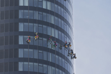Czyszczenie okien na wieżowcu © fototomek_wro