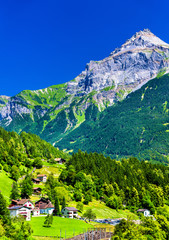View of Gurtnellen, a village in Swiss Alps