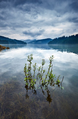 Lake Vidra in Romania